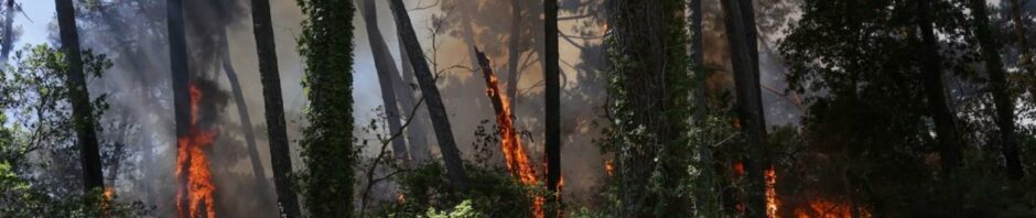 Incendie en forêt usagère de la Teste de Buch - 12-20 juillet 2022